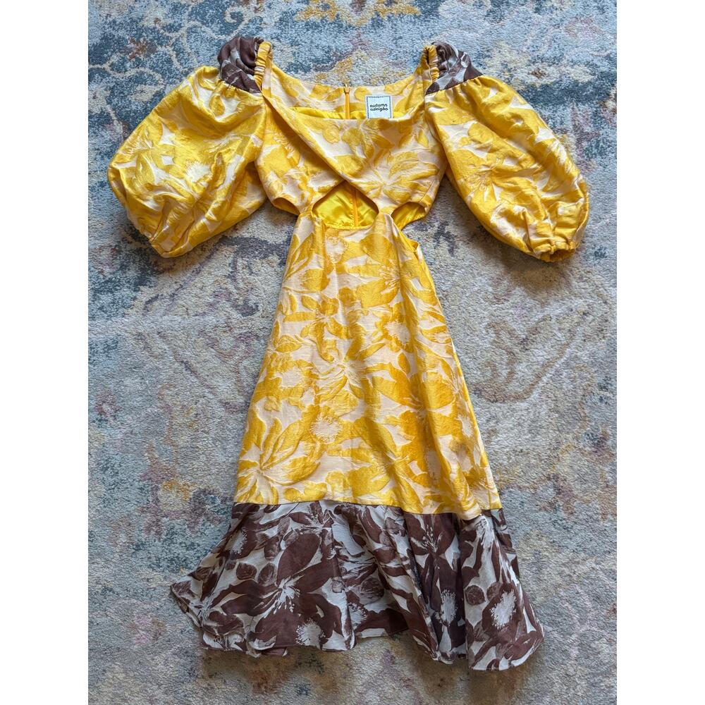 Autumn Adeigbo Maisie Dress - Picture 13 of 13